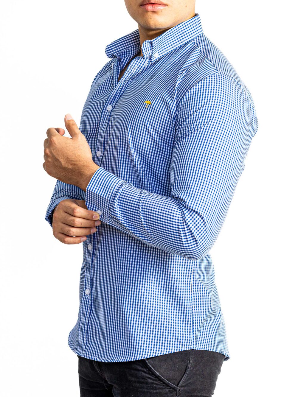 Camisa Hombre Casual Mini Cuadros Azul, Blancos 5